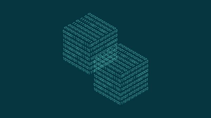 顺城区信创改造:网络应用开发流程标准化的核心路径与实践